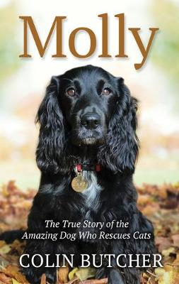 Book cover for Molly