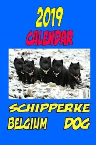 Cover of 2019 Calendar Schipperke Belgium Dog