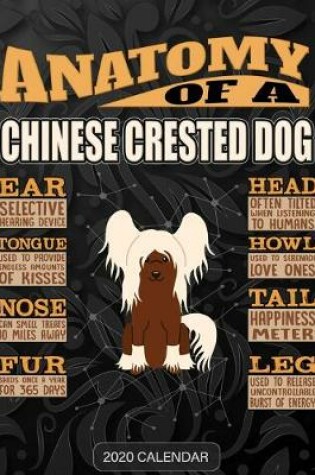 Cover of Anatomy Of A Chinese Crested Dog