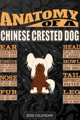 Book cover for Anatomy Of A Chinese Crested Dog
