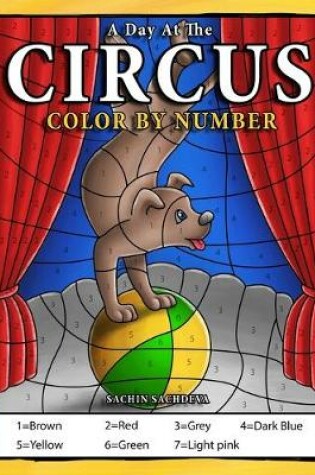 Cover of A Day At The Circus