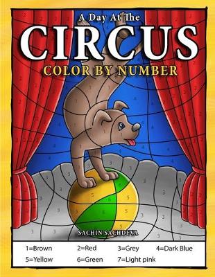 Book cover for A Day At The Circus