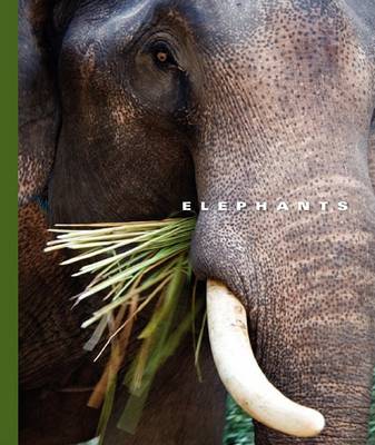 Book cover for Elephants