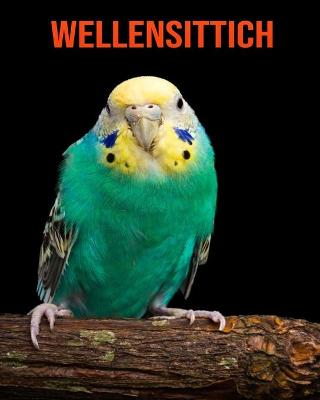 Book cover for Wellensittich