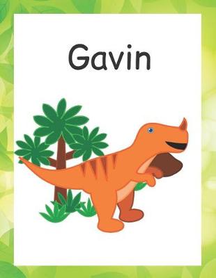 Book cover for Gavin