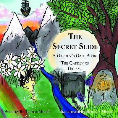 Book cover for The Secret Slide