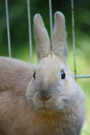 Cover of Beige Bunny Rabbit Journal