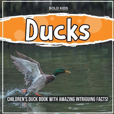 Book cover for Ducks