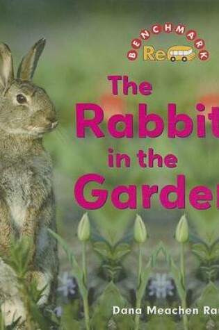 Cover of The Rabbit in the Garden