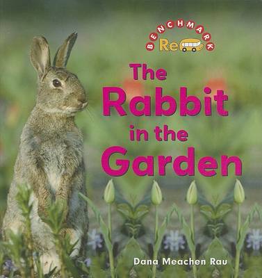 Book cover for The Rabbit in the Garden