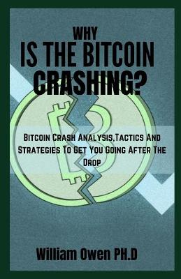 Book cover for Why Is the Bitcoin Crashing?