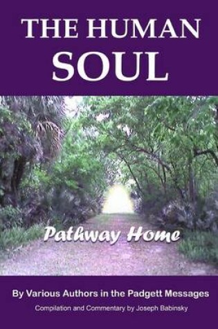 Cover of THE HUMAN SOUL - Pathway Home