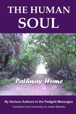 Book cover for THE HUMAN SOUL - Pathway Home