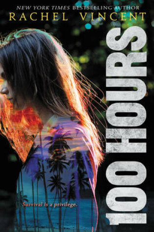 Cover of 100 Hours
