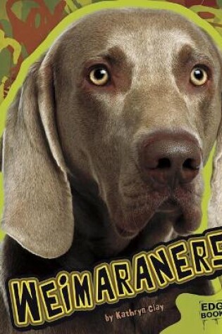 Cover of Weimaraners