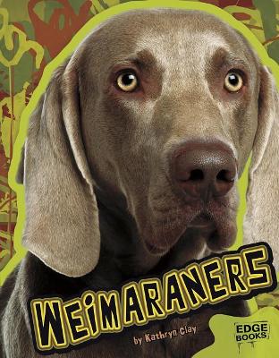 Cover of Weimaraners