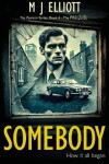 Book cover for Somebody