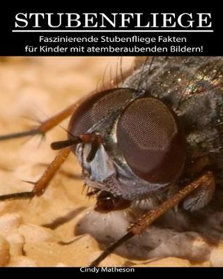 Book cover for Stubenfliege