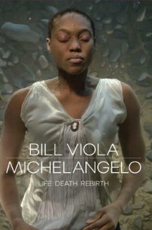Cover of Bill Viola / Michelangelo