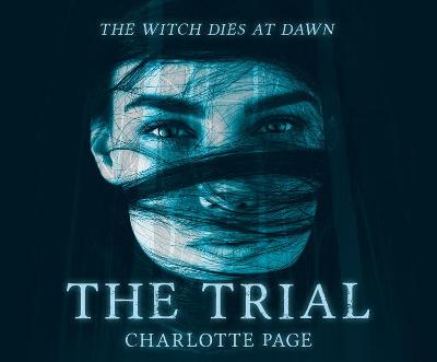 Book cover for The Trial