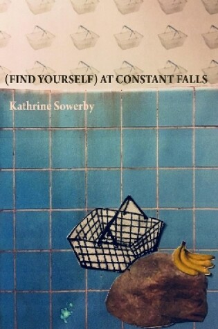 Cover of (Find Yourself) at Constant Falls