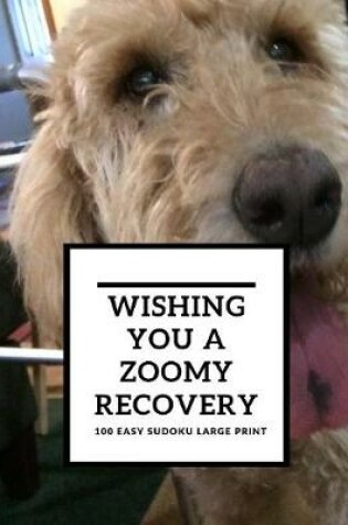 Cover of Wishing You A Zoomy Recovery