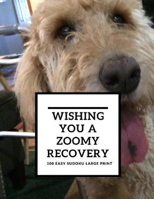 Book cover for Wishing You A Zoomy Recovery