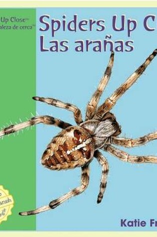 Cover of Spiders Up Close / Las Aranas