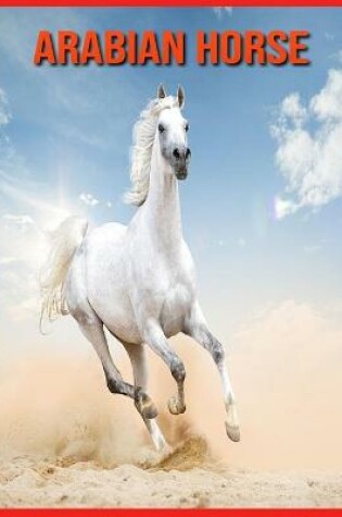 Cover of Arabian Horse