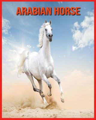 Book cover for Arabian Horse