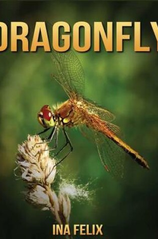 Cover of Dragonfly