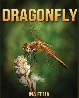 Book cover for Dragonfly