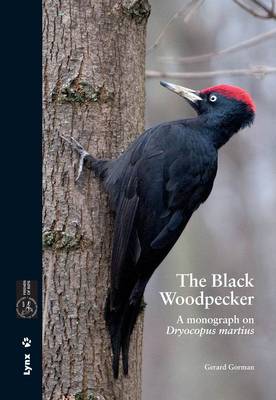 Book cover for The Black Woodpecker