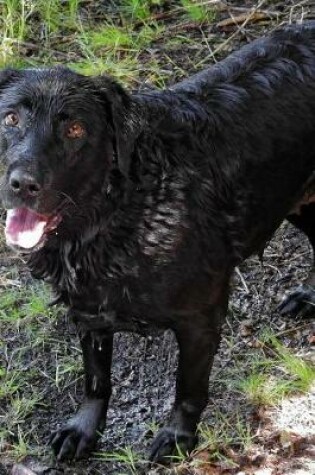 Cover of Black Labrador Lab Retreiver All Wet Dog Journal