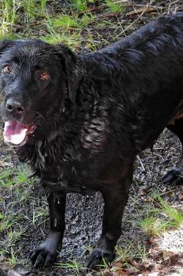 Book cover for Black Labrador Lab Retreiver All Wet Dog Journal