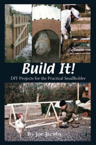 Cover of Build It!