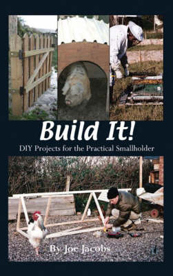 Book cover for Build It!