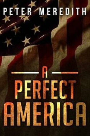 Cover of A Perfect America