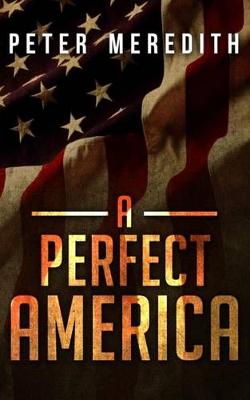 Book cover for A Perfect America