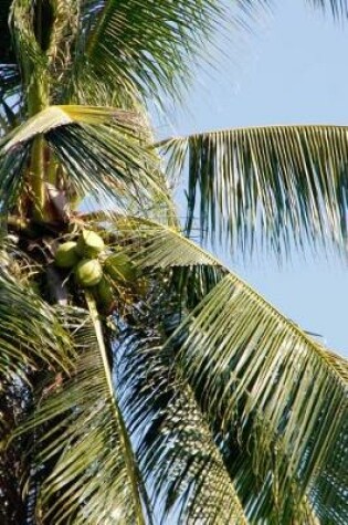 Cover of Coconut Palm Tree in Hawaii Journal