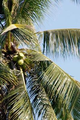 Book cover for Coconut Palm Tree in Hawaii Journal