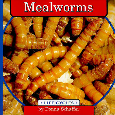 Cover of Mealworms