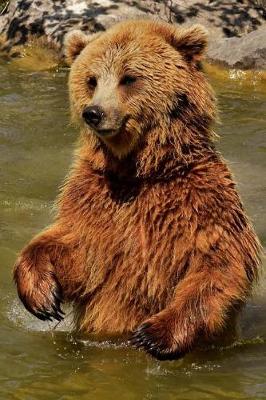 Book cover for European Brown Bear Insists the Water Is Fine---Come on in Journal