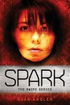 Book cover for Spark