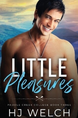 Cover of Little Pleasures