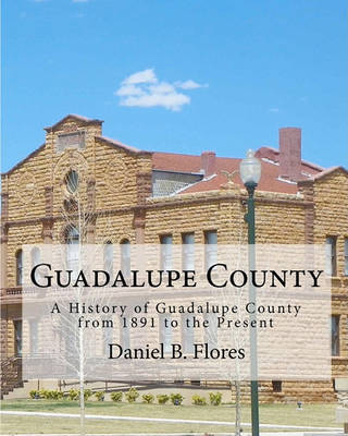 Book cover for Guadalupe County