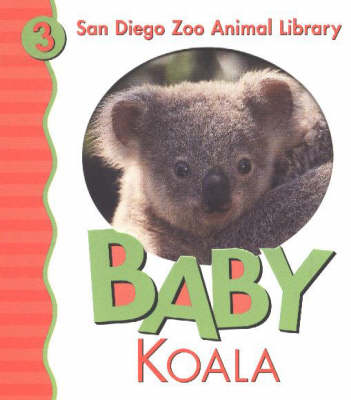 Book cover for Baby Koala