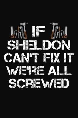 Book cover for If Sheldon Can't Fix It We're All Screwed