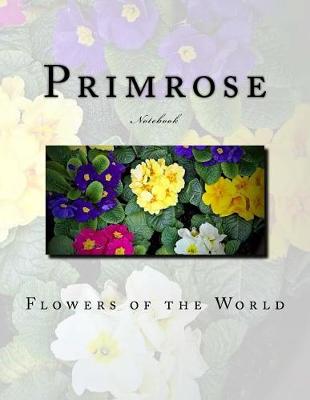 Book cover for Primrose Notebook