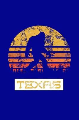 Book cover for Texas